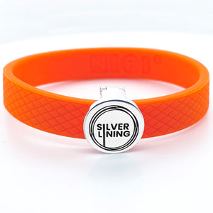 SILVER LINING Logo NIFI